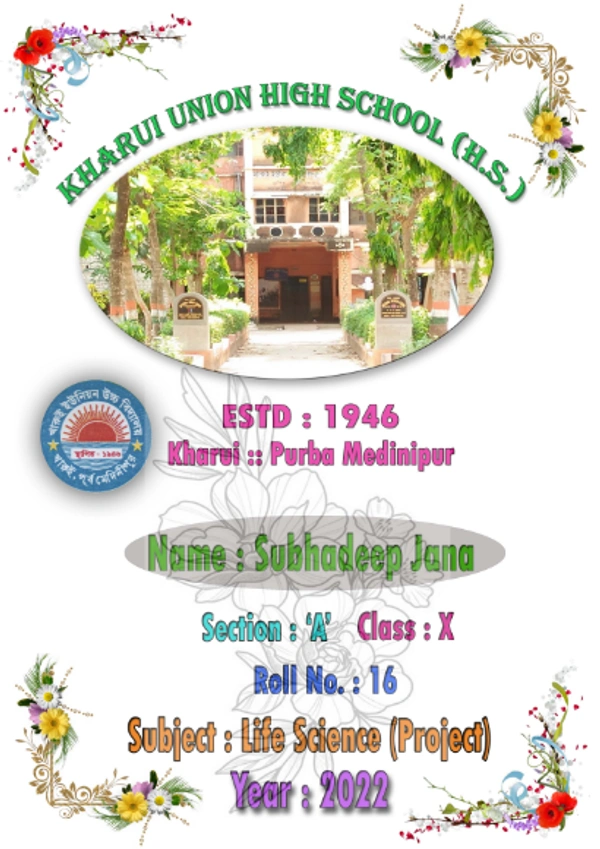FP00254 School Font Page Style #4